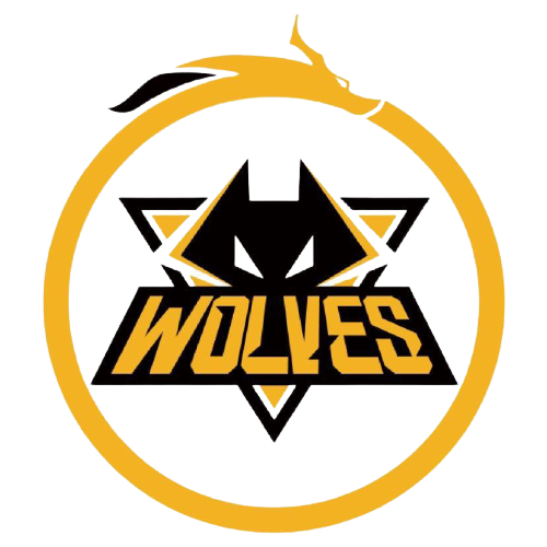 外野浅中飞 外野浅中飞